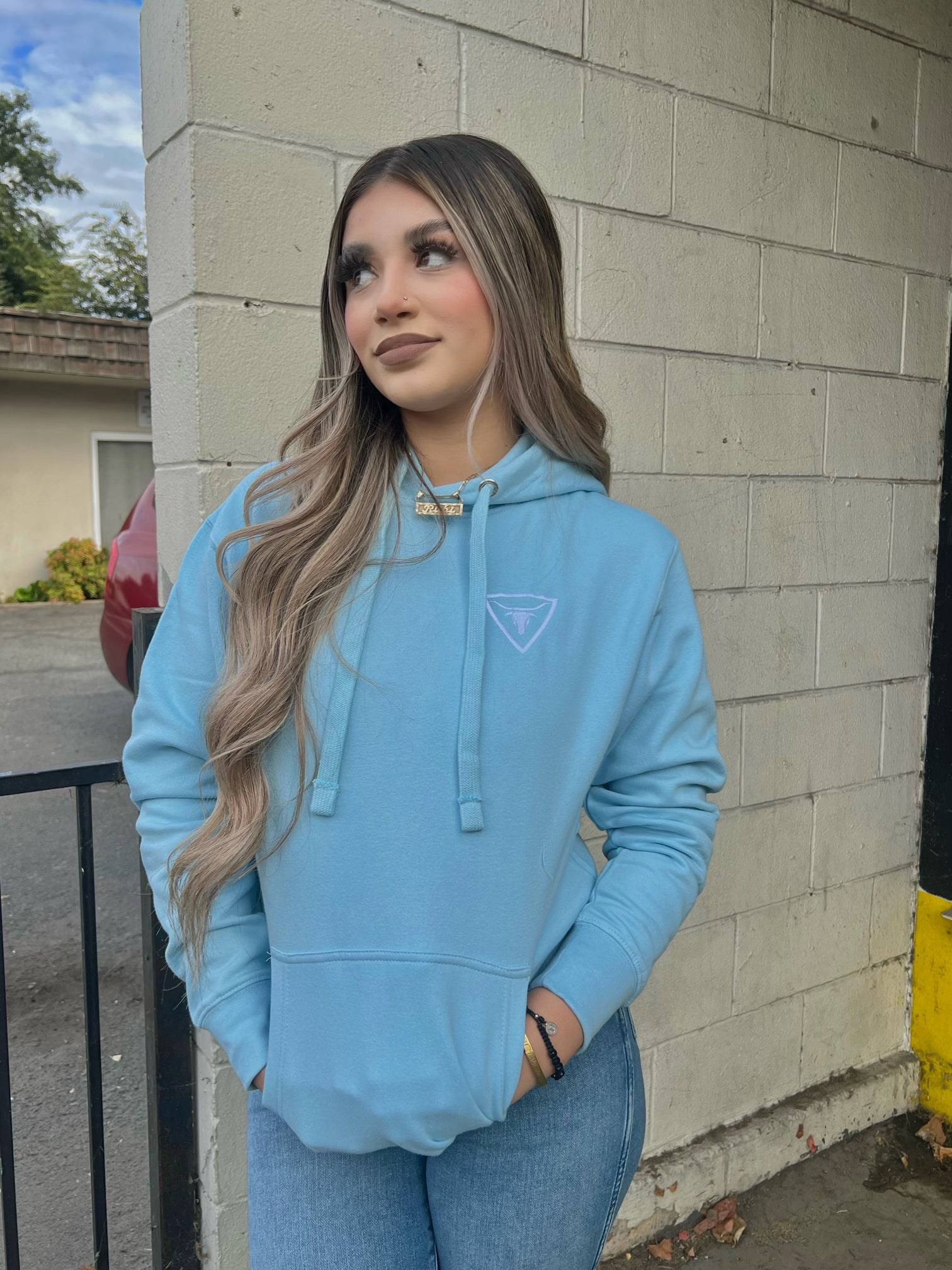 Puro Desmadre Baby Blue Hoodie - embroidered